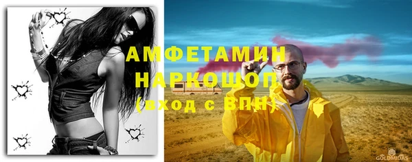 PSILOCYBIN Алзамай