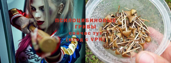 каннабис Алексин