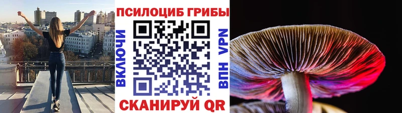 Галлюциногенные грибы Magic Shrooms Змеиногорск