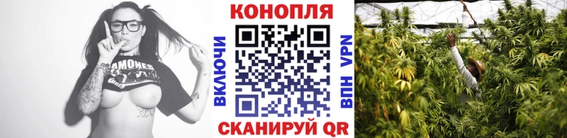 Марихуана индика  Змеиногорск 